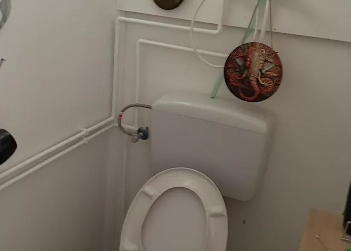 Gardonyi Csillagszem *